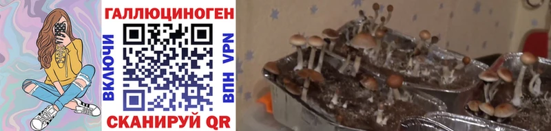Купить где  Новая Ляля  Галлюциногенные грибы MAGIC MUSHROOMS 