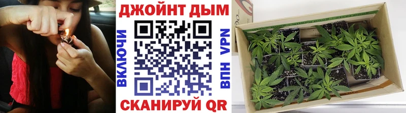 Конопля MAZAR Новая Ляля